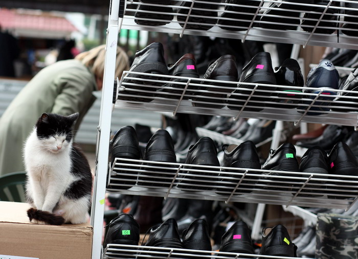 jedes Geschöpf - ... das zweite Paar frei.