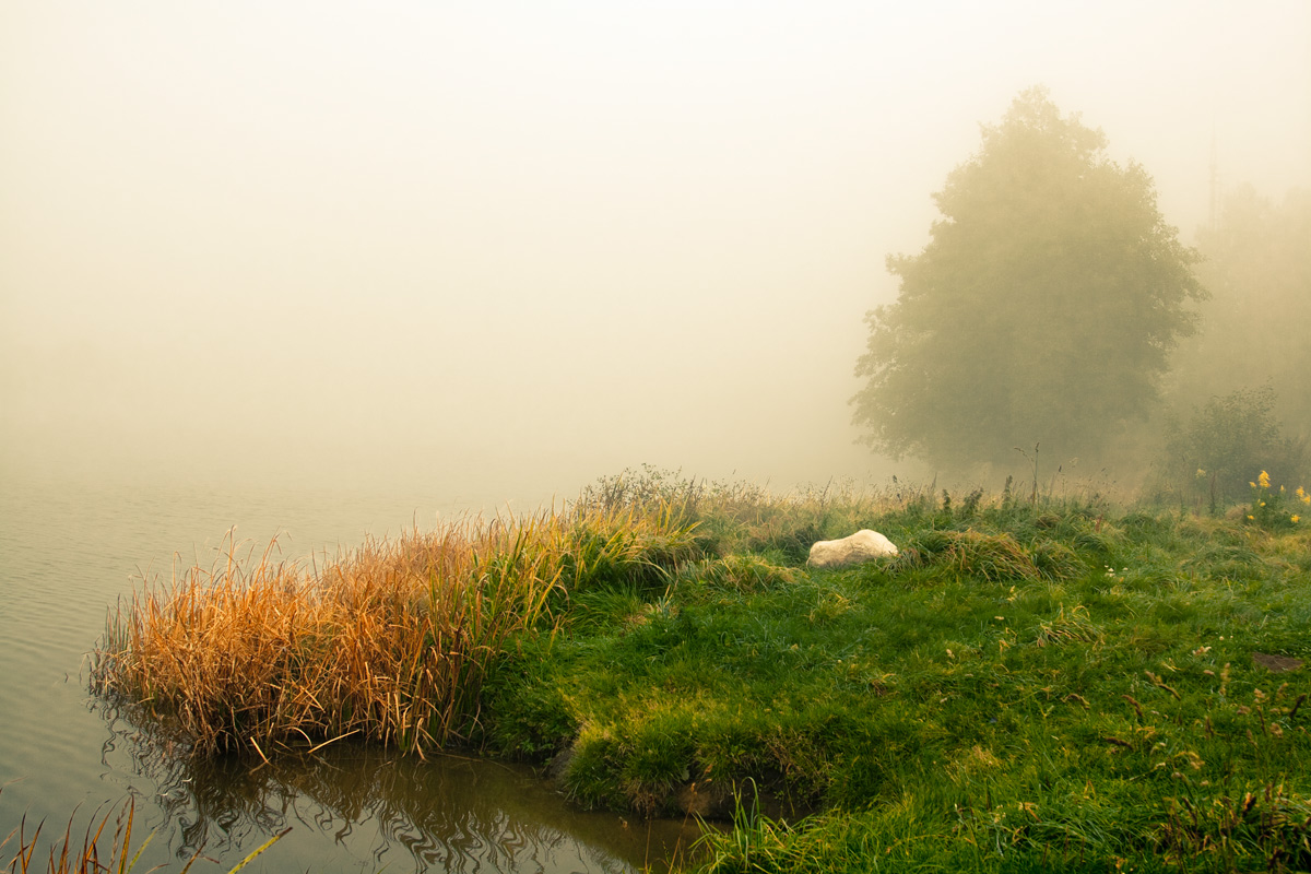 Am Ufer Gewässer tummannyh