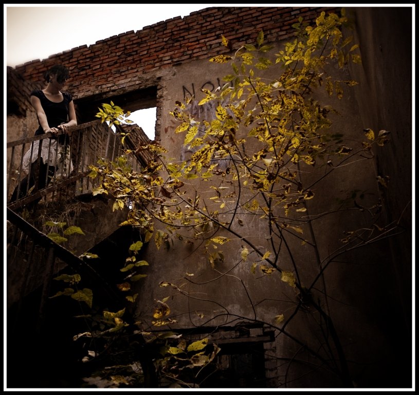 Selbst die Steine wachsen Blumen