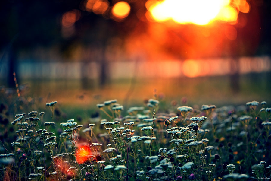 ** Im vergangenen Herbst