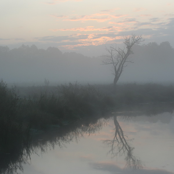 Nebel, Oktober Sprites ...