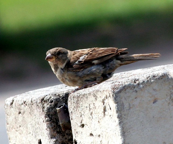 Schalten vodichku, bitte ...