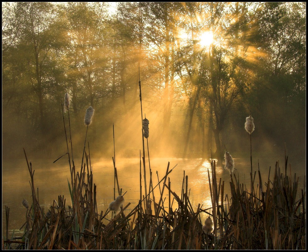 Es ist nicht alles Gold, was glänzt ....