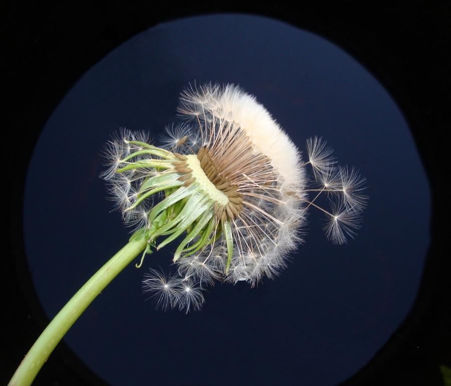 Sturz in den Abgrund