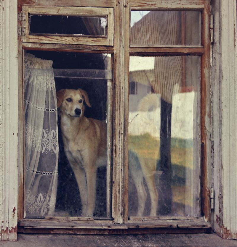 Oh, es ist schon Herbst ...