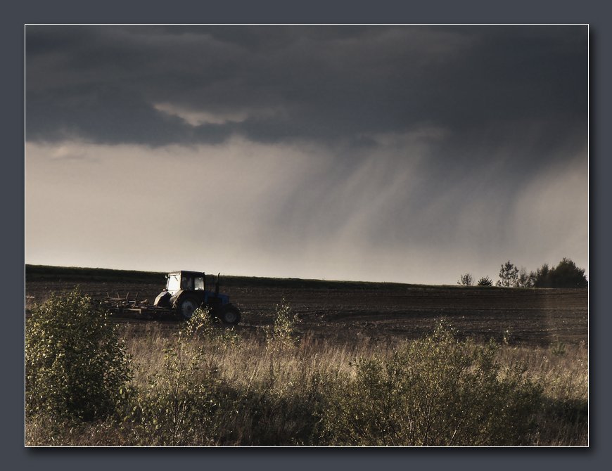 Die Welt durch die Augen eines Bauern ........ ........