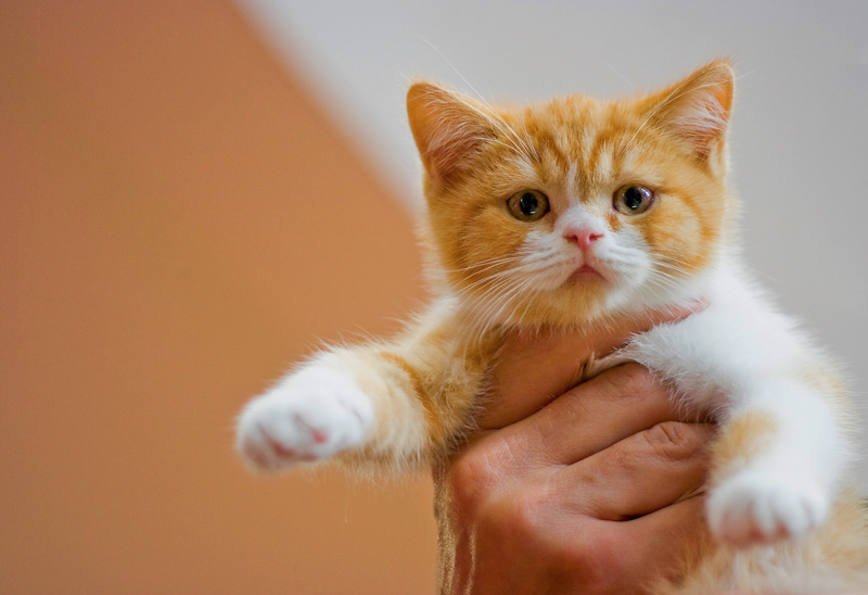 Lass los! Ich selbst ...