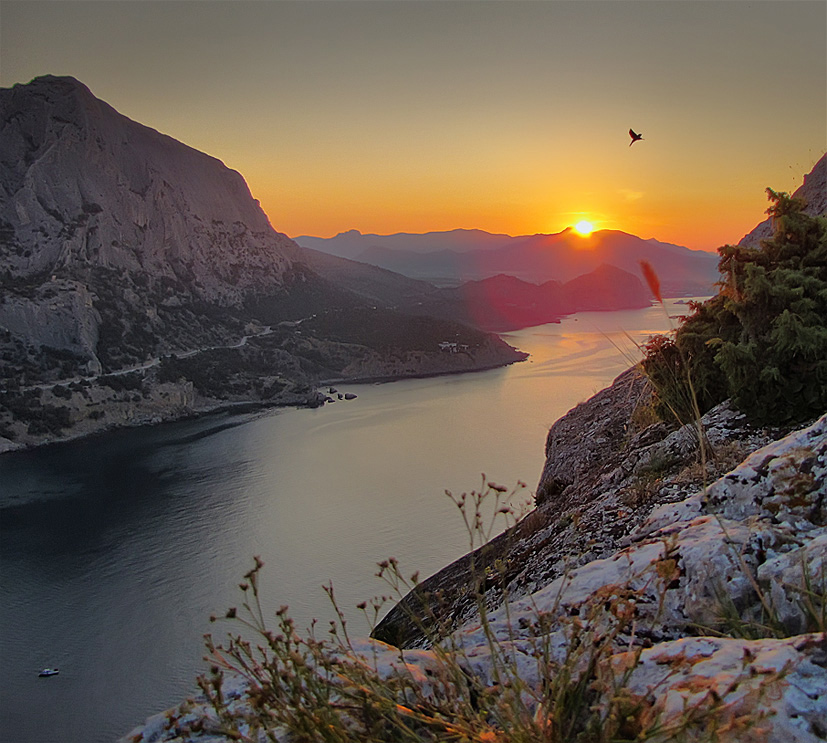 Shot in der Morgendämmerung.