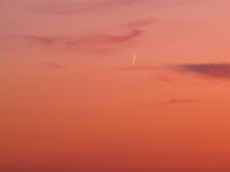 Der Mond in der rosa