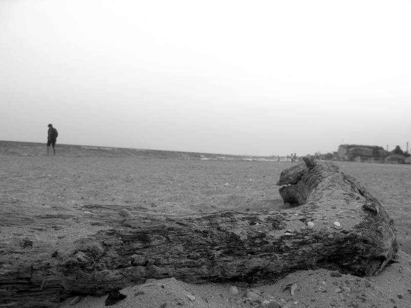 Haken zum Leben erweckt ...