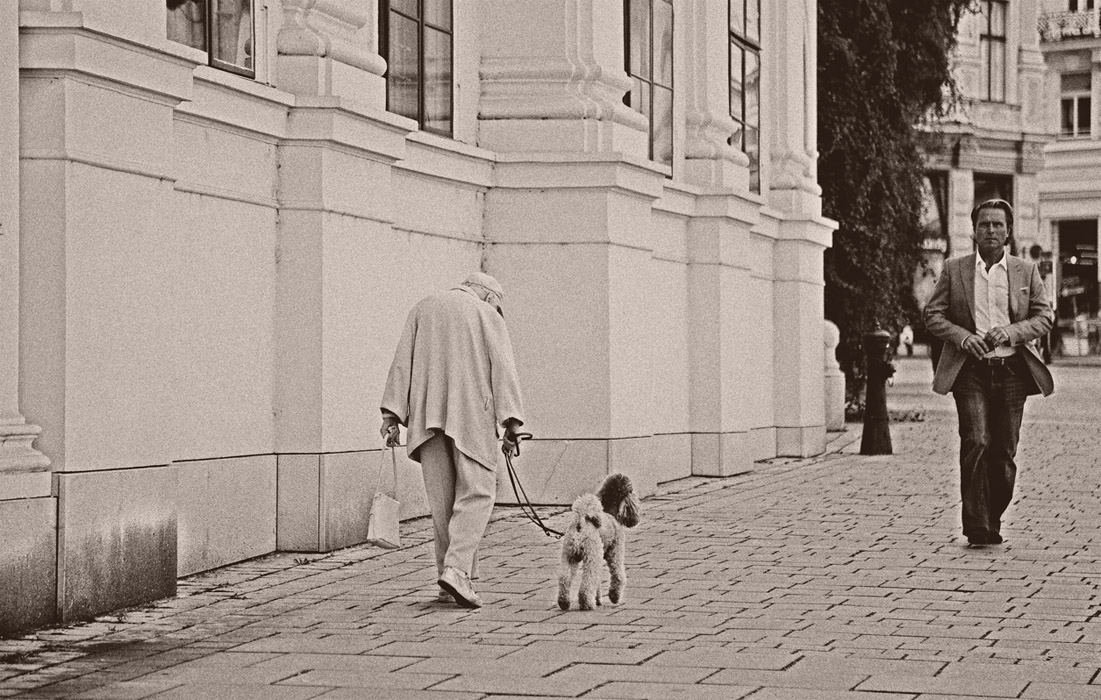 Wiens Geschichte. Teil1