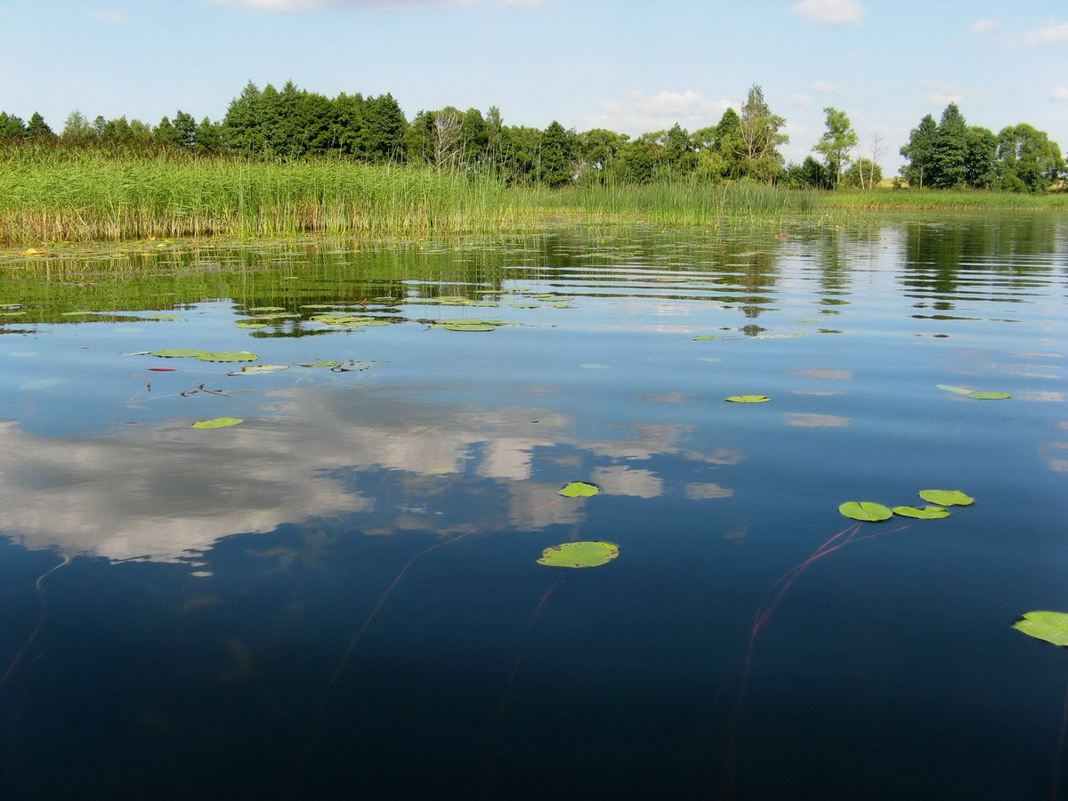 Ich bin Wasser, ich Wasser! "