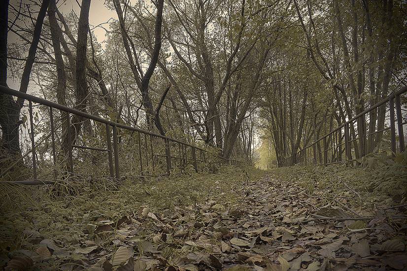herbstliche Stimmung im Stil einer Lochkamera
