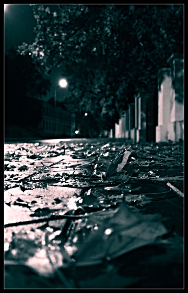 browsing around the streets...