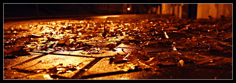 browsing around the streets...2