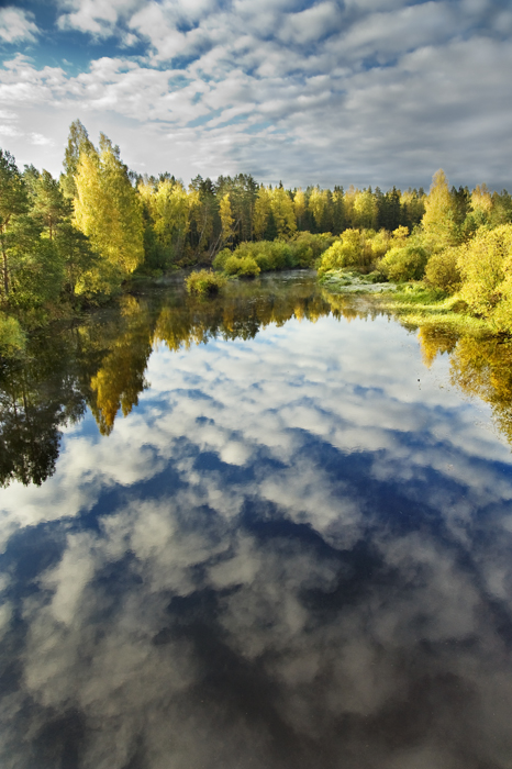 Paint verlassen Herbst