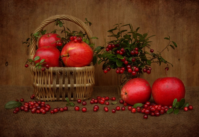 Cranberry Still Life