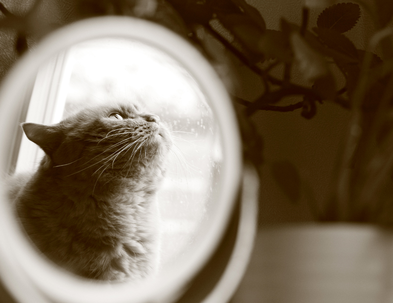 Alle suchen jemanden ...