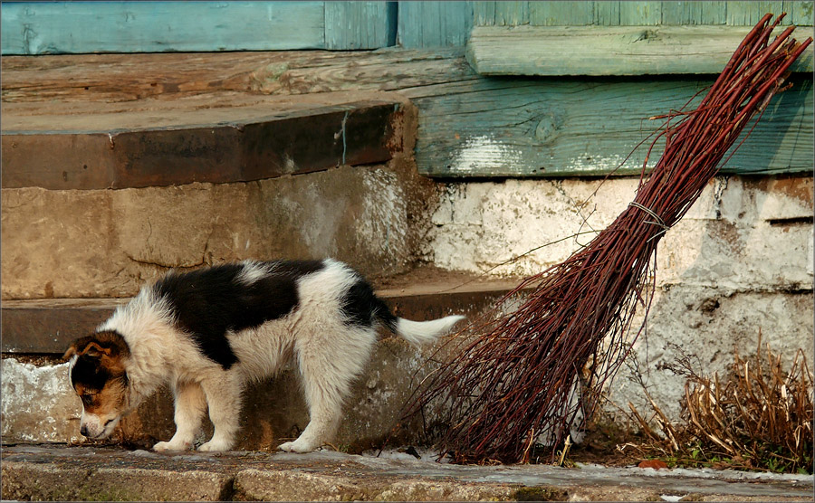 Die Unabwendbarkeit der Strafe