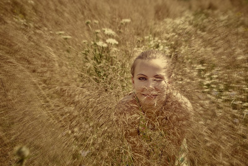 Scheibe des Sommers im Februar