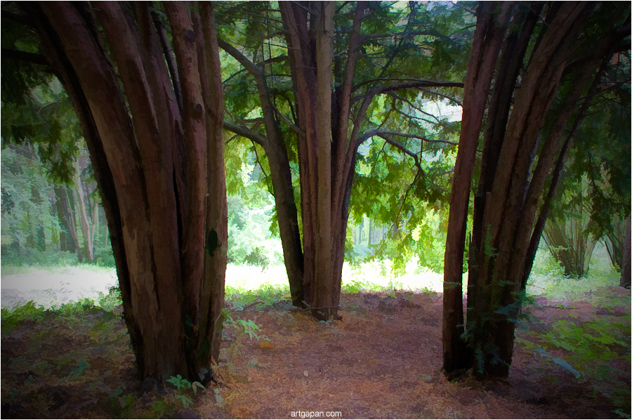 ... Irgendwo auf dem Mars