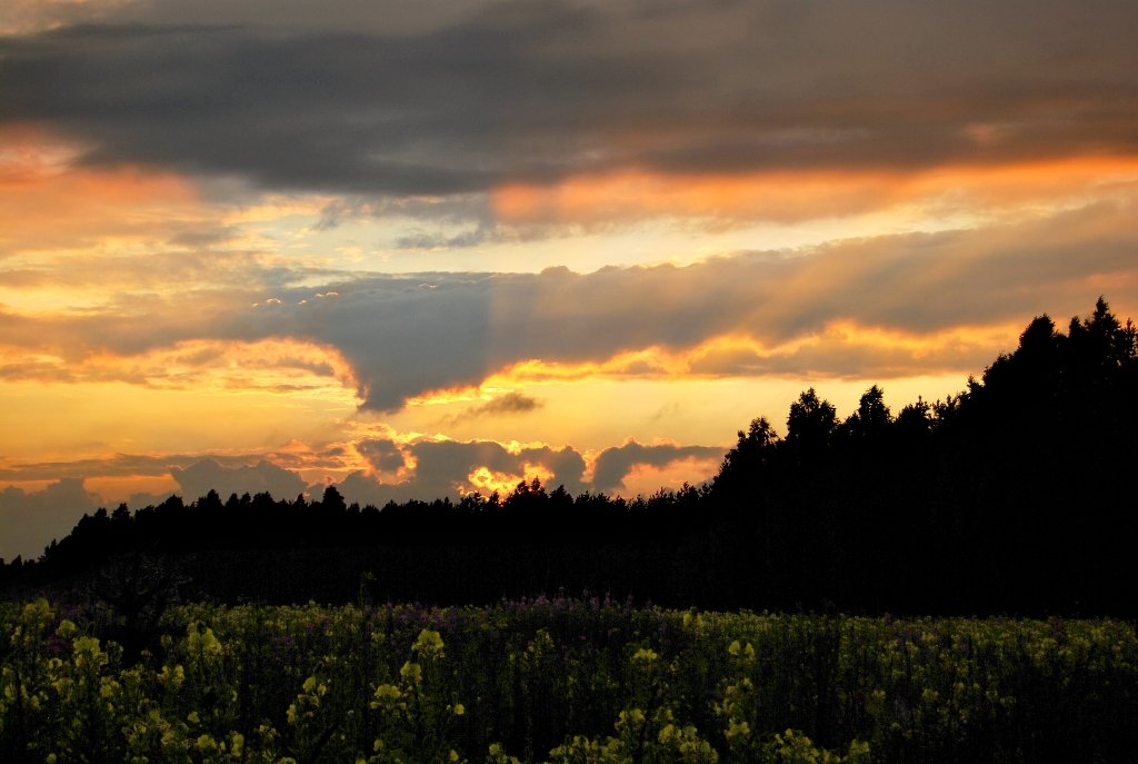 Strahlen der untergehenden Sonne