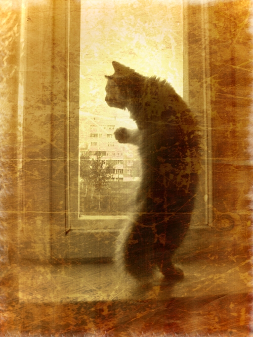 .. Warten auf den Besitzer ..