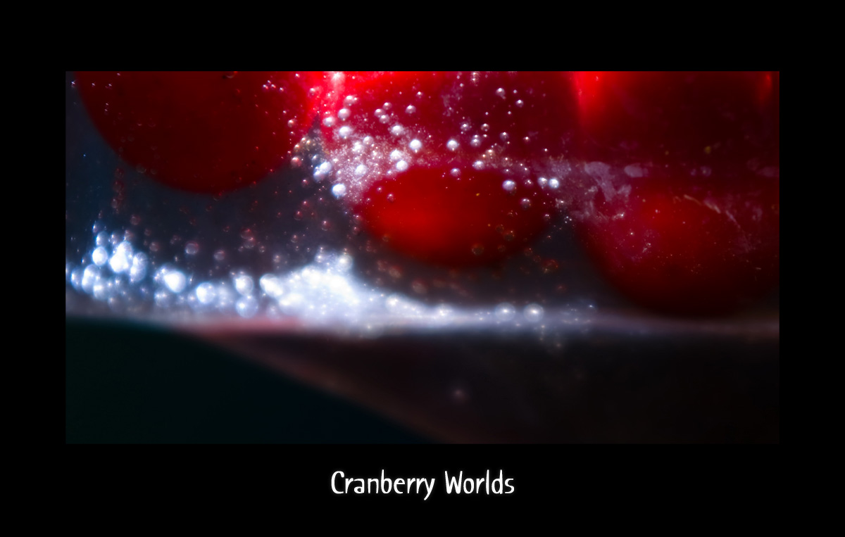 Cranberry Welten I