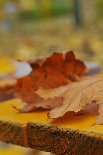 Ich rannte ins Bett .....