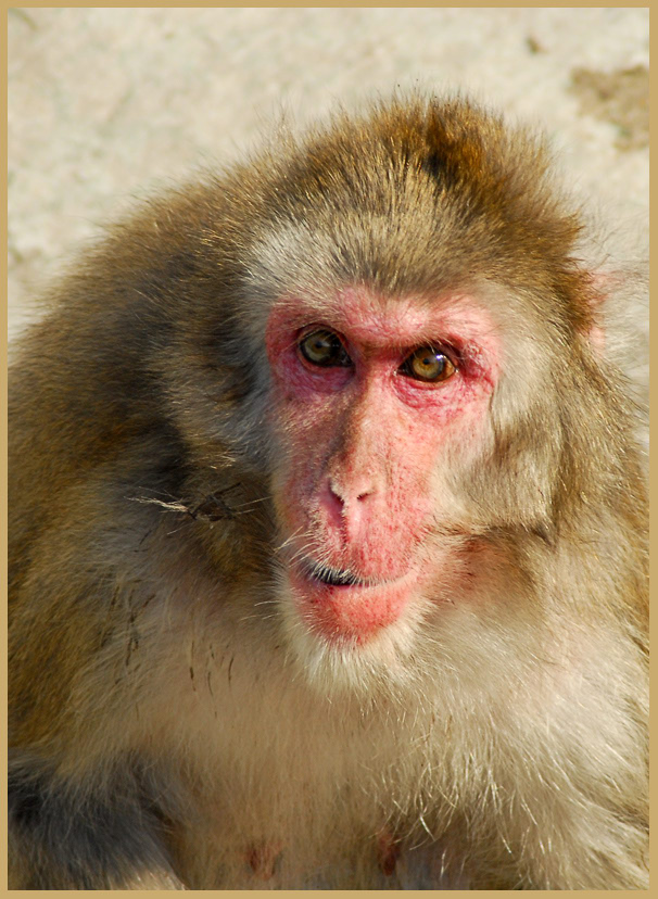 Hier ist ein Blick ..!