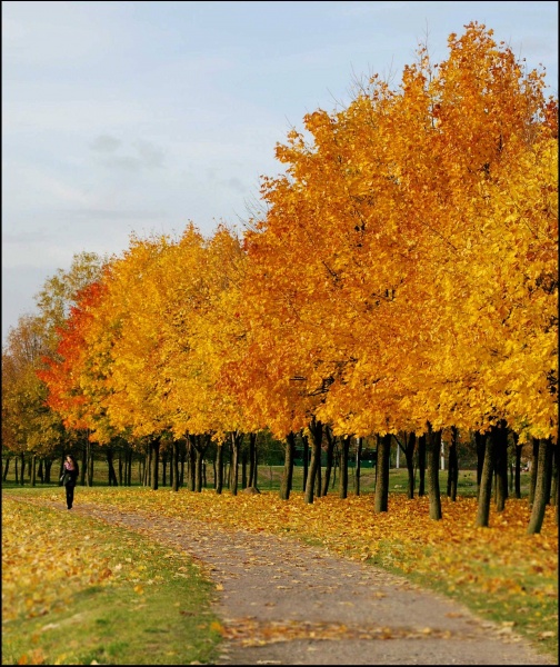 Pathway in den goldenen Herbst.