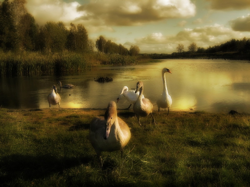 Verabschieden und davonfliegen