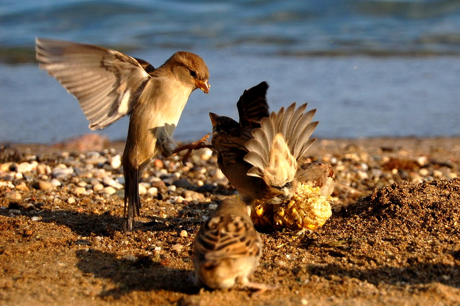 Familiar Strangers - 2