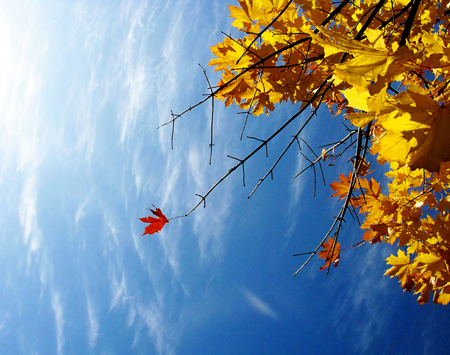 Gefühl der Wärme Salden