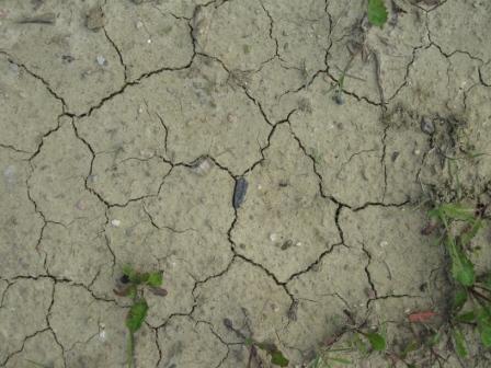 bald wird die Welt aus den Nähten platzen ...