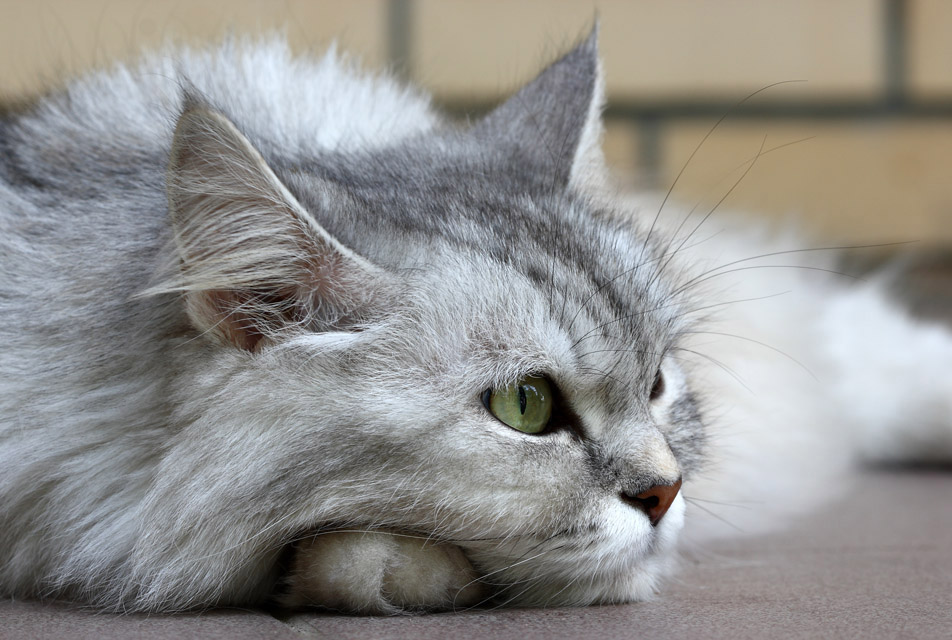 Gedanken über das ewige