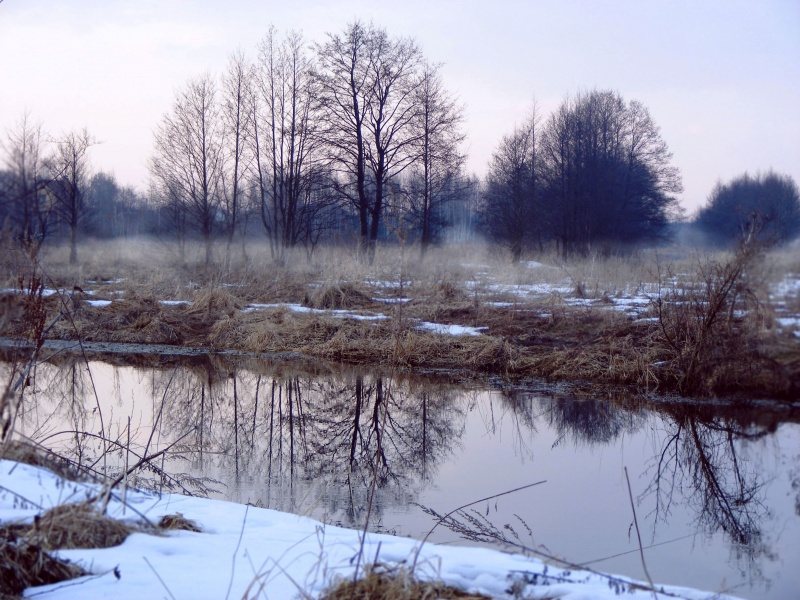 Der Frühling kommt ..