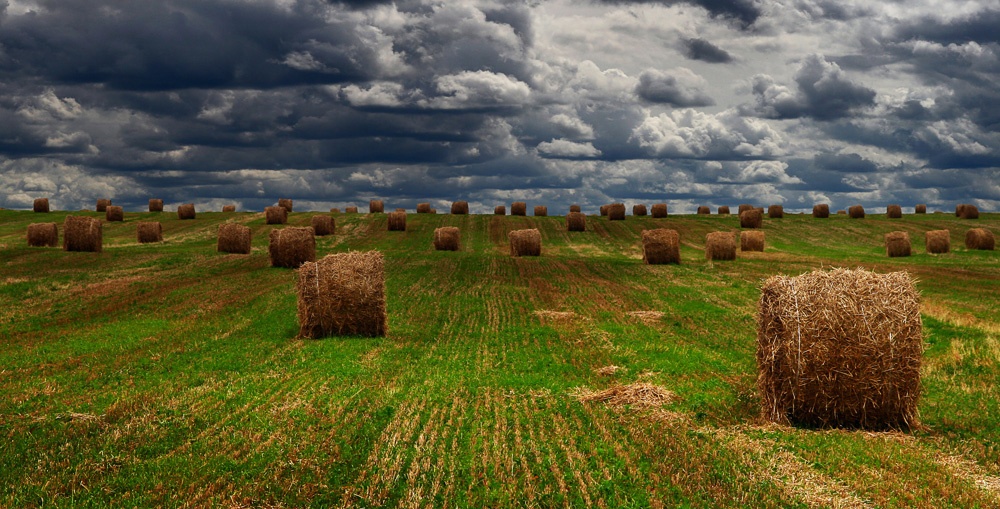 Goodbye Summer, Goodbye ...