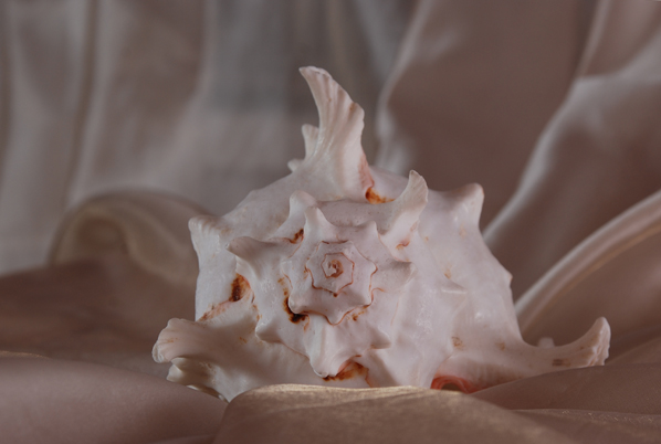 erinnerte mich an die Vergangenheit