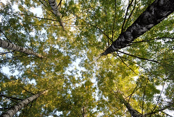 Reichweite für den Himmel