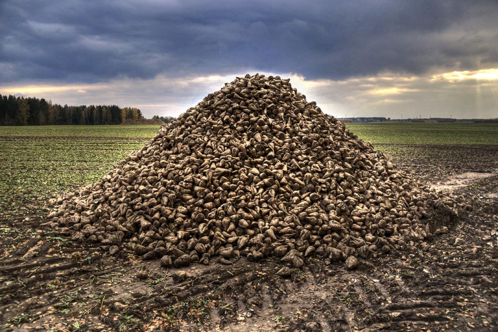 Die Apotheose der Ernte