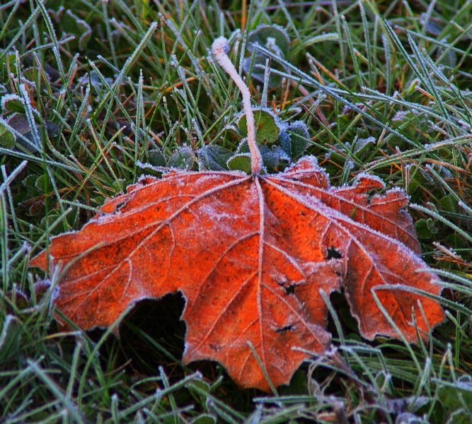 Breath of Winter ...