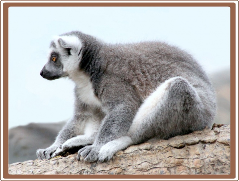 Es ist interessant und erschreckend