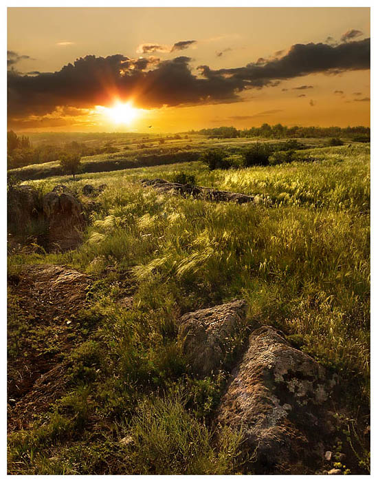 Counter, auch in Afrika Counter