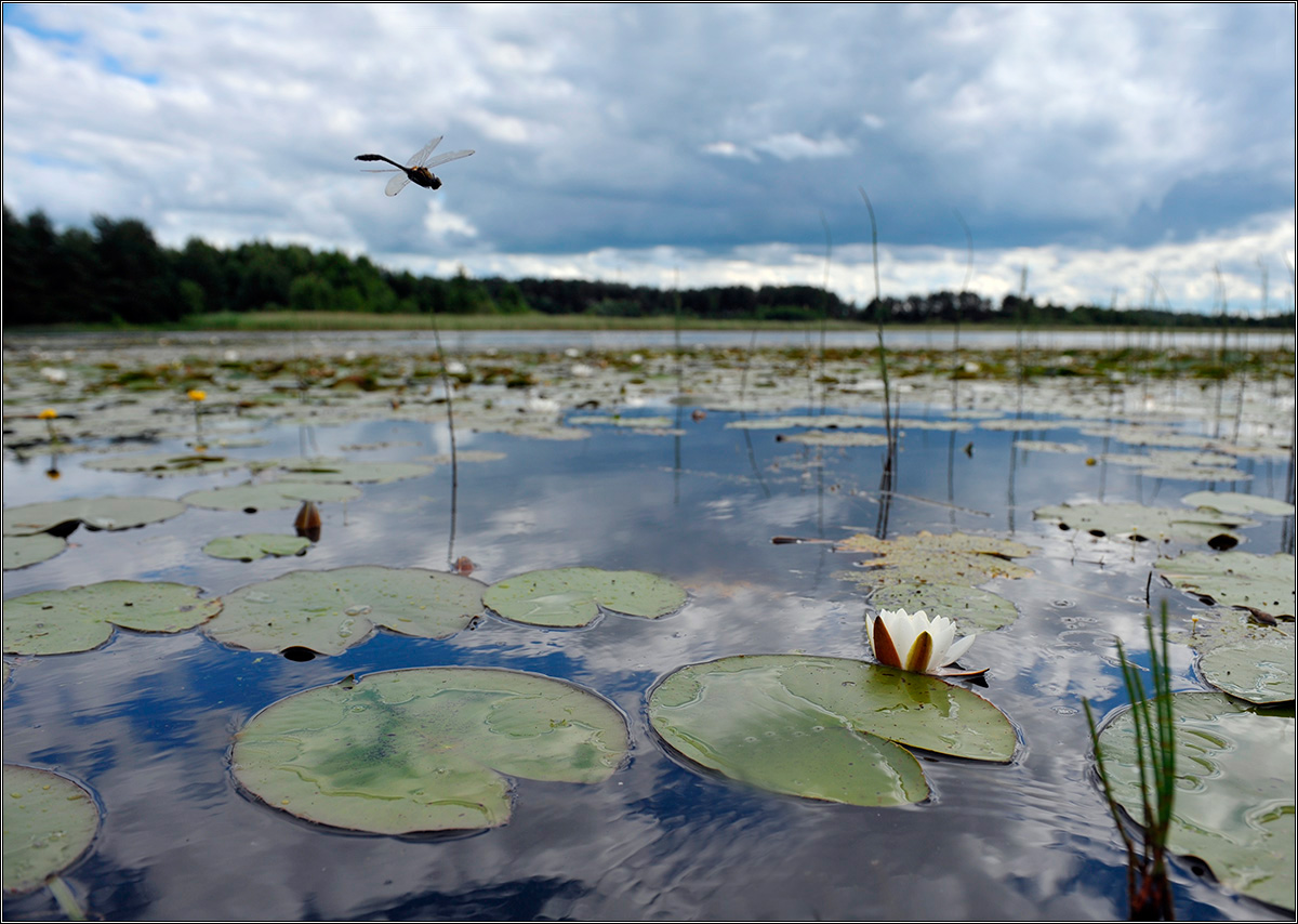 Für eine halbe Stunde vor dem regen