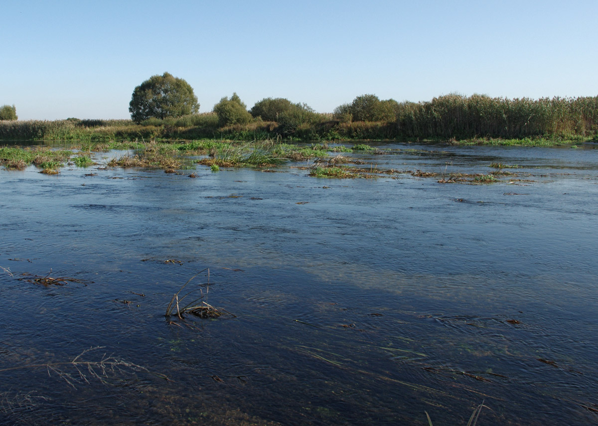 Ah, überwucherte Strom für Sie!