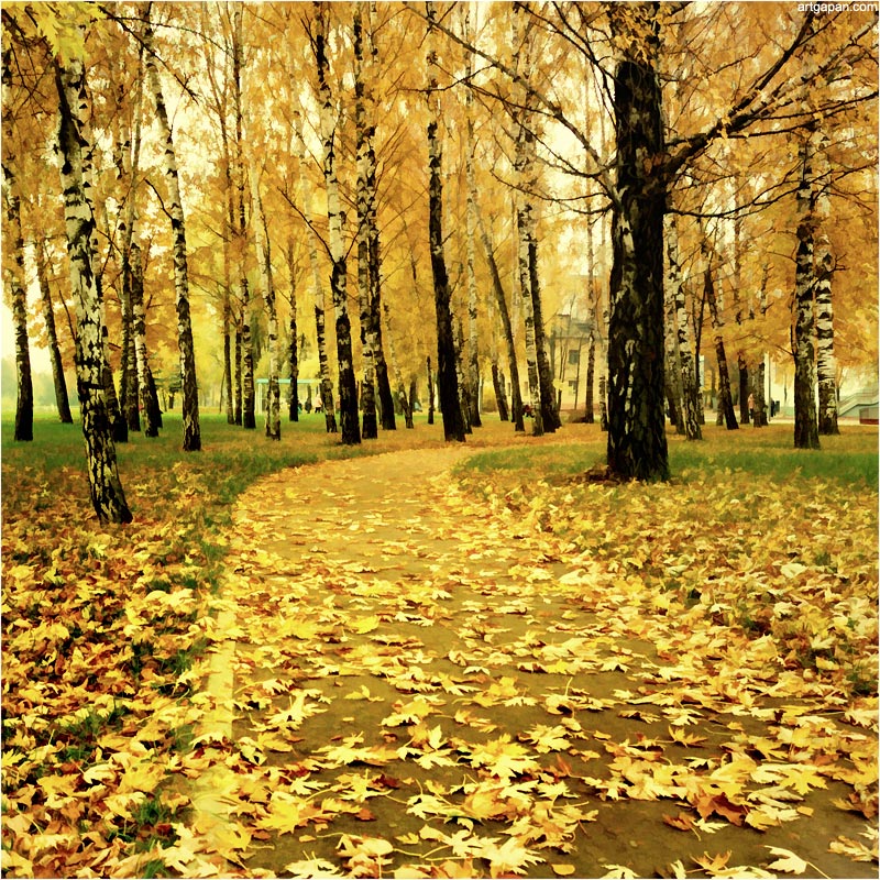 [ autumn sketches *2 ]