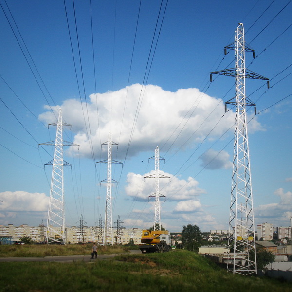 Das Leben unter den Drähten