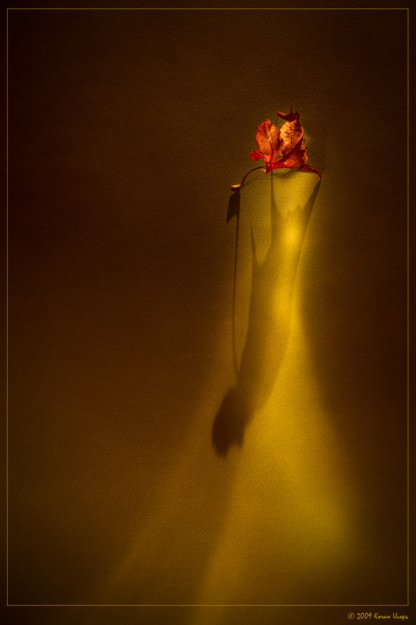 Herbst Geheimnis. Ghost.