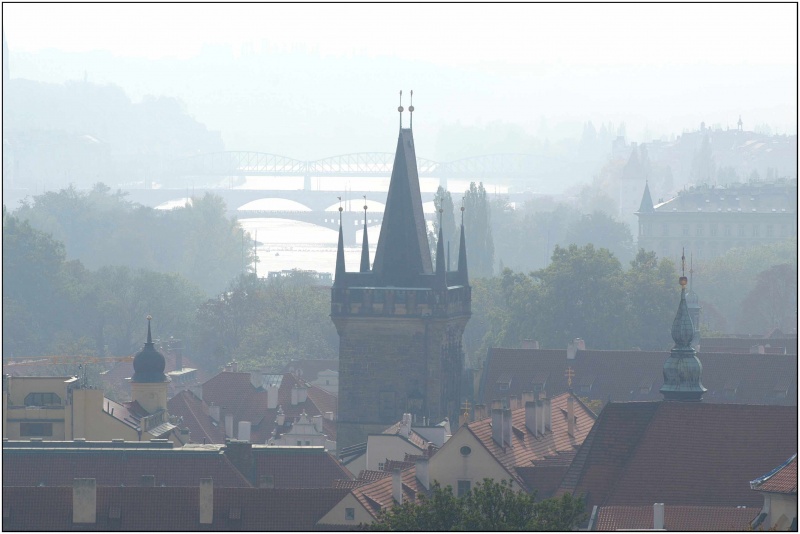 Misty Morning (Prag)